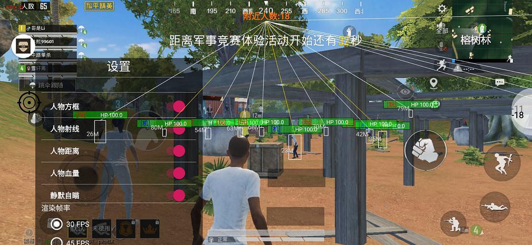 和平精英DDYS辅助